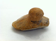 Knobbed French Handaxe