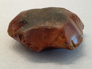 French Core, Turtle Shaped