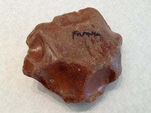 French Core, Turtle Shaped
