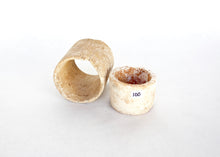 Two Fossil Shell Rings, Choiseul Islands, Solomon Islands