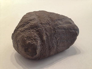 Neolithic Saharan Stone with Engravings